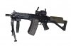 SIG-552-p1030040.jpg