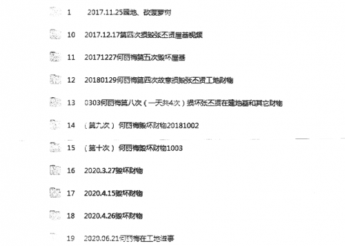 8 何丽梅犯罪记录.png