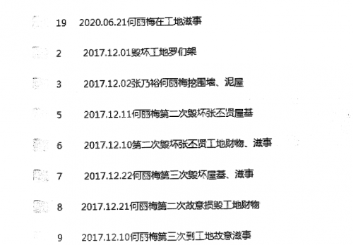 7 何丽梅犯罪记录.png