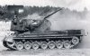 bw-gepard_57.jpg