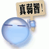 真弱智.GIF