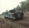 marder06.jpg