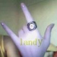 landy